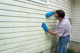 Best Fiber Cement Siding Installation  in Norwood, NY